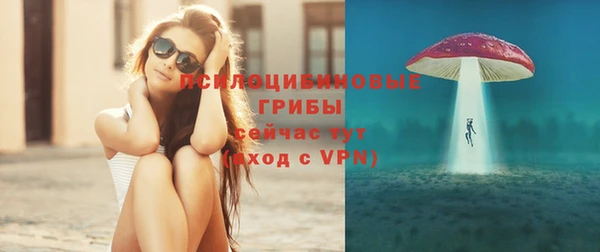 spice Карталы
