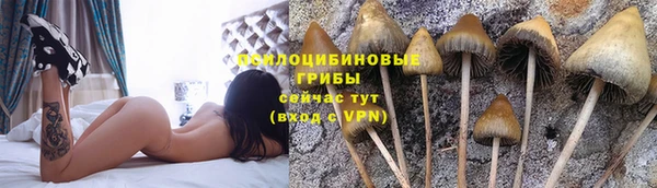 каннабис Касимов