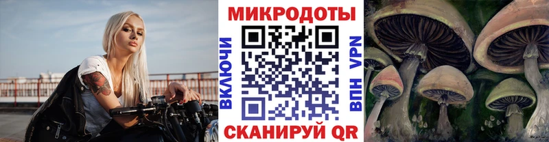 Купить  Ветлуга  Псилоцибиновые грибы мицелий 